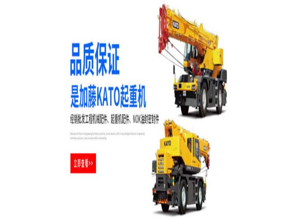 山西吊车公司_大力吊车出租公司有多种型号可选